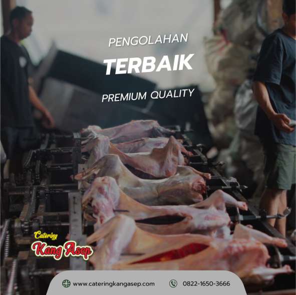 jual kambing guling