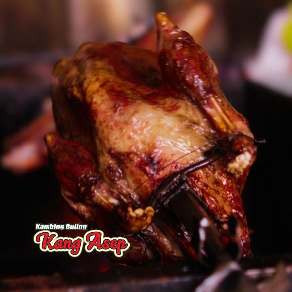 kambing guling gambung