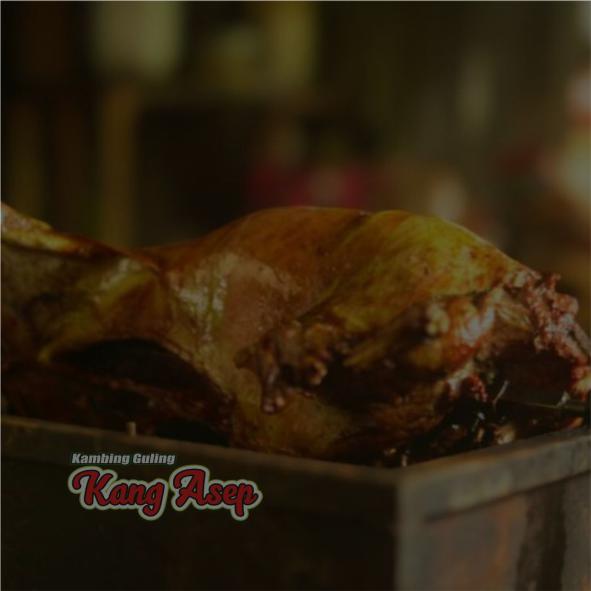 spesialis kambing guling muda jual per ekor utuh